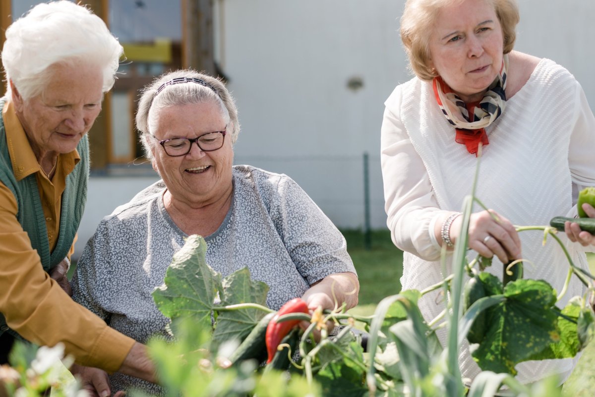 St. Veit_Glan Pflegezentrum und Seniorenwohnanlage_2017_08_011